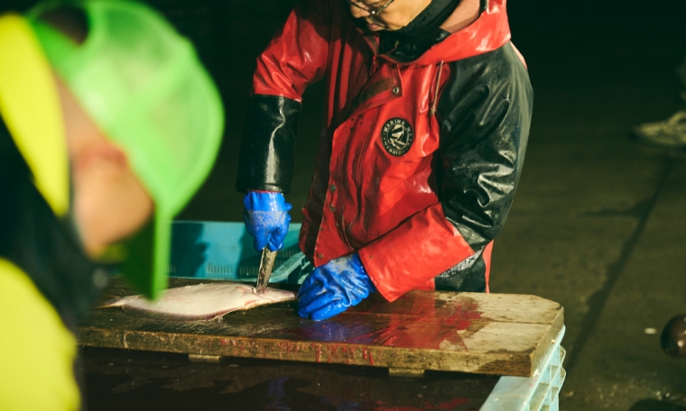 石狩湾には、季節に応じて狙える魚が変わる楽しさがある。