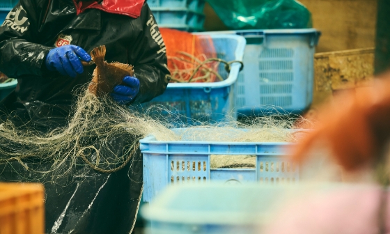 石狩湾には、季節に応じて狙える魚が変わる楽しさがある。