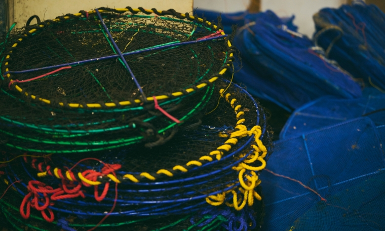 海が変わる。ならば、人の動きも変えていく。