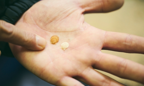 海が変わる。ならば、人の動きも変えていく。