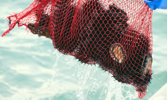 自然体でいられる秘訣は、「がむしゃら」。