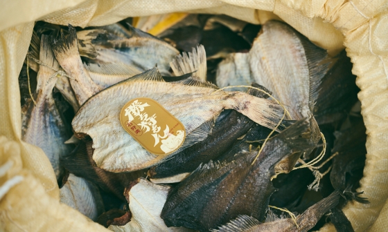 今日はどんな漁になるか。読めない。見えない。だから面白い。