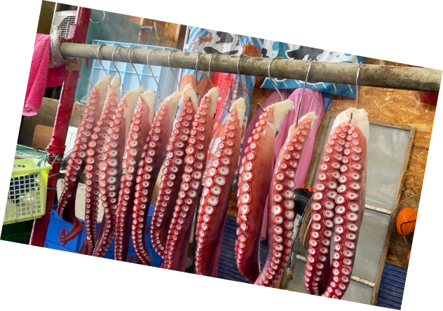 勝ち丼 "勝負魚" 合格にしがみつけ！