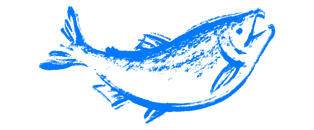 勝ち丼 "勝負魚" 肝を据えて勝負に挑め！