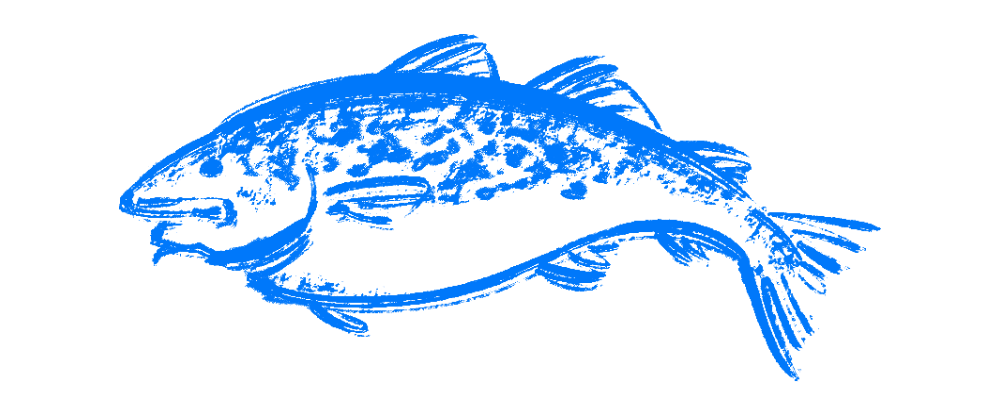 勝ち丼 "勝負魚" 未練タラタラでいいじゃない！