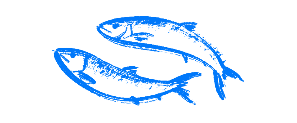 勝ち丼 "勝負魚" 獲物を一網打尽